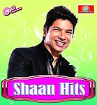 Generic Pen Drive - Shaan HIT // Bollywood // USB // CAR Song // 400 MP3 Audio // 16GB