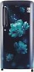 LG 190 L 4 Star Inverter Direct-Cool Single Door Refrigerator (GL-B201ABCY, Charm)