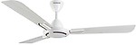 Havells Ambrose 3 Blade Ceiling Fan(Pearl White)