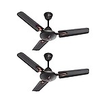 Candes Amaze 900mm, 36 inch High Speed 5 Star Rated Ceiling Fan 405 RPM