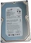 Seagate OEM 320GB Desktop Internal Hard Disk Drive (ST3320SCEP)