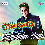 Generic Pen Drive - Hits of SUKHWINDER HIT // Bollywood // USB // CAR Song // Best Travelling MP3 Audio // 16GB