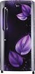 LG 215 L Direct Cool Single Door 3 Star Refrigerator with Fast Ice Making  (Purple Victoria, GL-B221APVD)