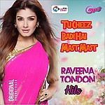 Generic Pen Drive - RAVEENA TANDON Hits / Bollywood Song / CAR Songs / Long Drive / Audio MP3 / USB Song / 16GB