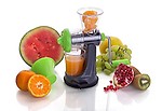 Radhe Mini Handy Fruit Juicer Nano Juicer Making Machine (Multi)