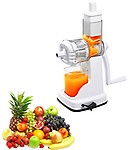 Famous Fruits And Vegetable Juicer