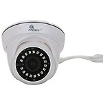 Zontech Dome Security Camera 2 Megapixel (IP Camera) ZT-DIP-2018