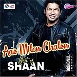 Generic Pen Drive - Hits of Shaan // Bollywood // USB // CAR Song // 490 MP3 Audio // 16GB