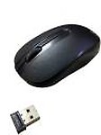QUANTUM QHM271 Wireless Optical Gaming Mouse  (2.4GHz Wireless, tooth, PS/2)
