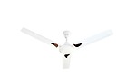 LUXURYTECH Shane 1200 MM Ultra High Speed Anti Dust Designer Ceiling Fan 30 Months Warranty 