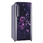 LG 190 Liters Single Door Refrigerator (GL-B201ABED, ? Charm)