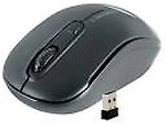 zebronic Wireless Optical Wireless Optical Gaming Mouse  (2.4GHz Wireless)