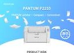 PANTUM P2210 grey Single Function Monochrome Laser Printer  ( Toner Cartridge)