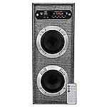 Classic Gold Mt2-118 Single Tower Speaker System