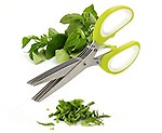 Glive Multifunction 5 Blade Vegetable Chopper Stainless Steel Herbs Scissor
