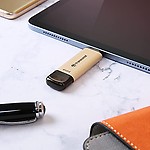 Transcend 256GB JetFlash 930C USB 3.2 Gen 1 Flash Drive TS256GJF930C