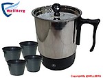 Wellberg Stainless Steel Quick Boil 600 Watt Electric Kettle (1.2Ltr)