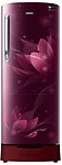 Samsung 230 L Direct Cool Single Door 4 Star Refrigerator ( RR24N287YR8/NL)