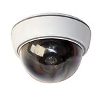 B.E. No Light Dummy CCTV Fake Security Ball Camera with Flashing Red Light - Random Color